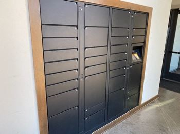 Luxer package system for 24/7 access to packages